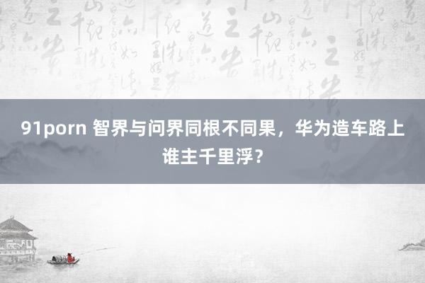 91porn 智界与问界同根不同果，华为造车路上谁主千里浮？