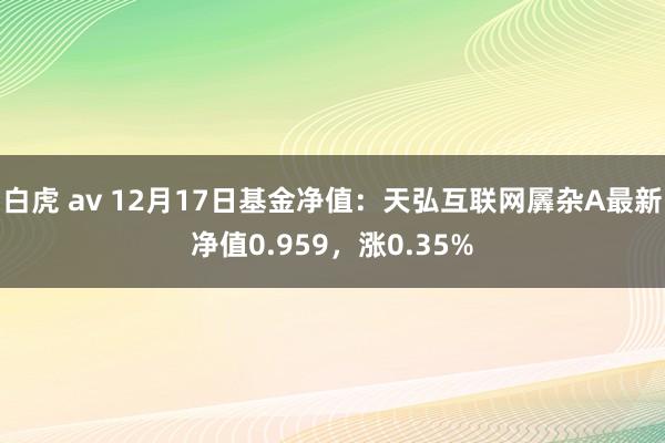 白虎 av 12月17日基金净值：天弘互联网羼杂A最新净值0.959，涨0.35%