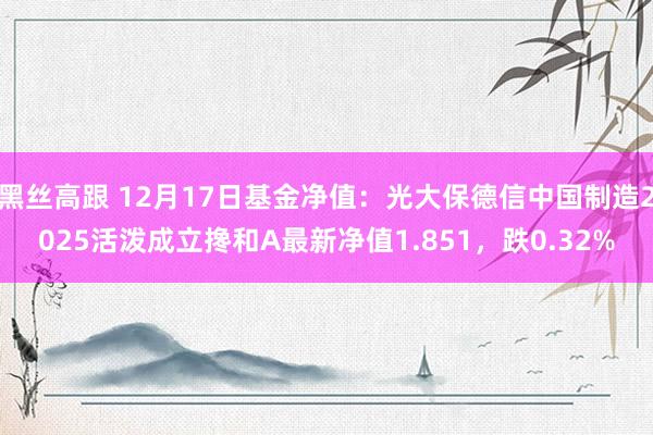 黑丝高跟 12月17日基金净值：光大保德信中国制造2025活泼成立搀和A最新净值1.851，跌0.32%