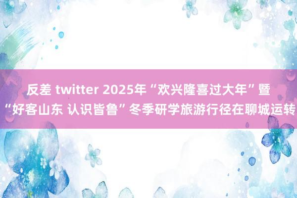 反差 twitter 2025年“欢兴隆喜过大年”暨“好客山东 认识皆鲁”冬季研学旅游行径在聊城运转