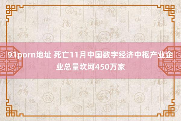 91porn地址 死亡11月中国数字经济中枢产业企业总量坎坷450万家