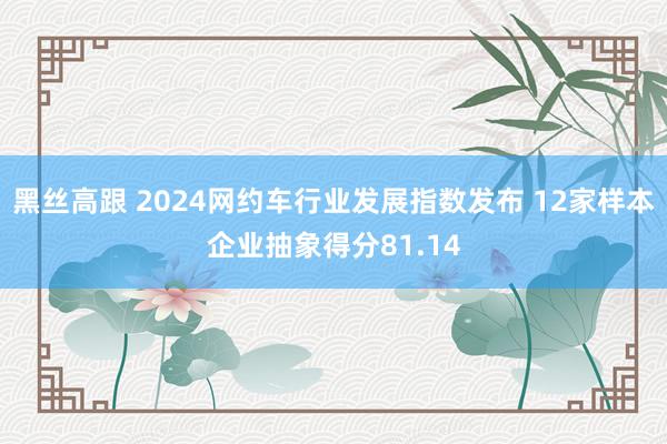 黑丝高跟 2024网约车行业发展指数发布 12家样本企业抽象得分81.14