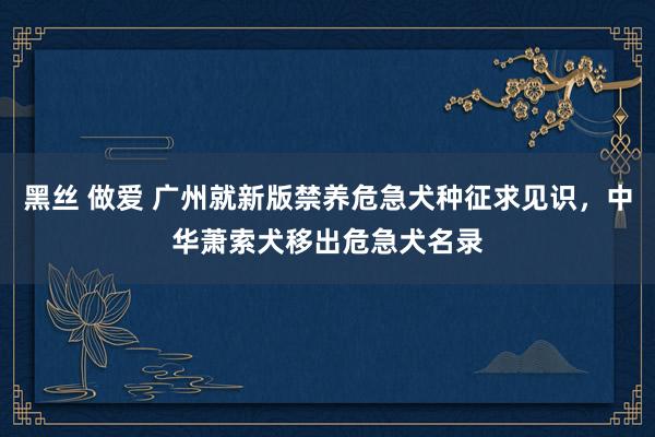 黑丝 做爱 广州就新版禁养危急犬种征求见识，中华萧索犬移出危急犬名录