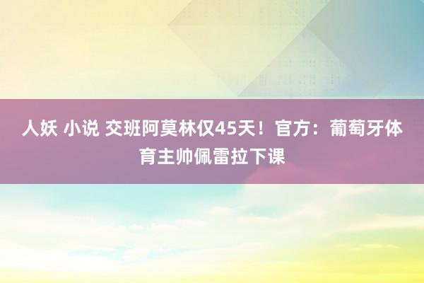 人妖 小说 交班阿莫林仅45天！官方：葡萄牙体育主帅佩雷拉下课