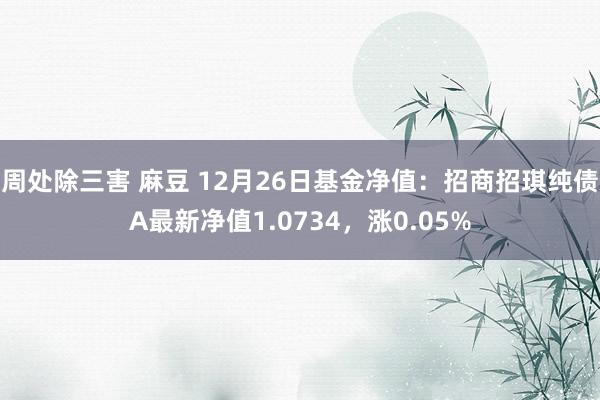 周处除三害 麻豆 12月26日基金净值：招商招琪纯债A最新净值1.0734，涨0.05%