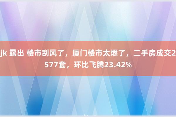 jk 露出 楼市刮风了，厦门楼市太燃了，二手房成交2577套，环比飞腾23.42%