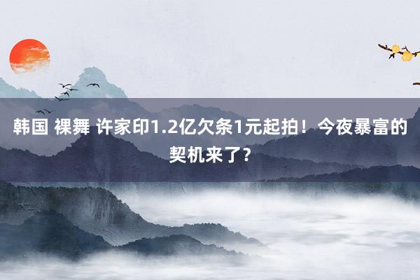 韩国 裸舞 许家印1.2亿欠条1元起拍！今夜暴富的契机来了？