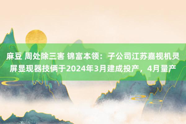 麻豆 周处除三害 锦富本领：子公司江苏嘉视机灵屏显现器技俩于2024年3月建成投产，4月量产