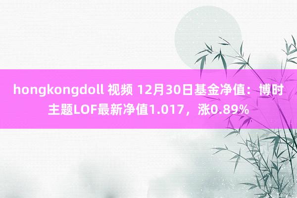 hongkongdoll 视频 12月30日基金净值：博时主题LOF最新净值1.017，涨0.89%