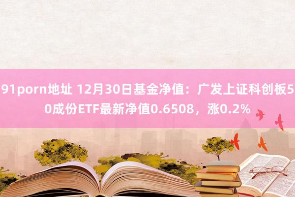 91porn地址 12月30日基金净值：广发上证科创板50成份ETF最新净值0.6508，涨0.2%