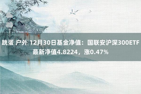 跳蛋 户外 12月30日基金净值：国联安沪深300ETF最新净值4.8224，涨0.47%