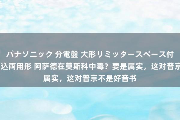 パナソニック 分電盤 大形リミッタースペース付 露出・半埋込両用形 阿萨德在莫斯科中毒？要是属实，这对普京不是好音书