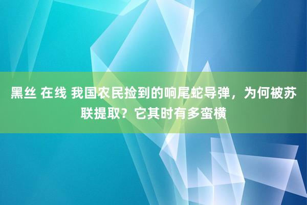 黑丝 在线 我国农民捡到的响尾蛇导弹，为何被苏联提取？它其时有多蛮横