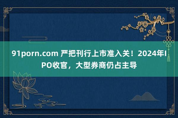 91porn.com 严把刊行上市准入关！2024年IPO收官，大型券商仍占主导