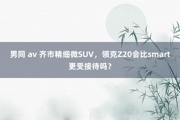 男同 av 齐市精细微SUV，领克Z20会比smart更受接待吗？