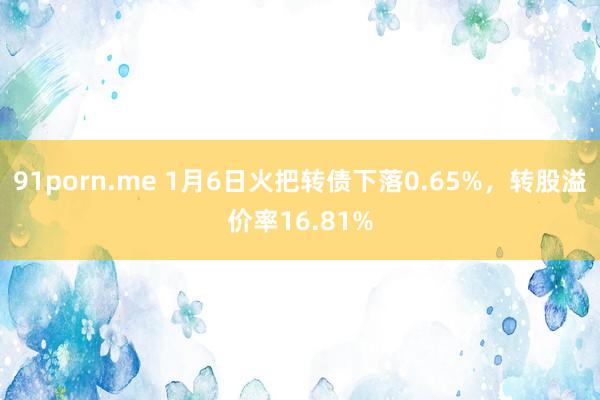 91porn.me 1月6日火把转债下落0.65%，转股溢价率16.81%