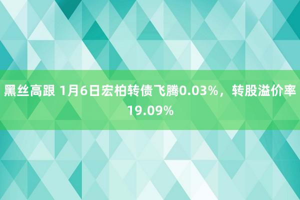 黑丝高跟 1月6日宏柏转债飞腾0.03%，转股溢价率19.09%