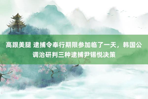 高跟美腿 逮捕令奉行期限参加临了一天，韩国公调治研判三种逮捕尹锡悦决策