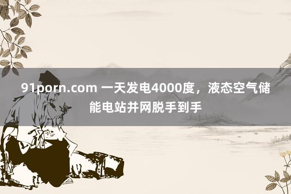 91porn.com 一天发电4000度，液态空气储能电站并网脱手到手