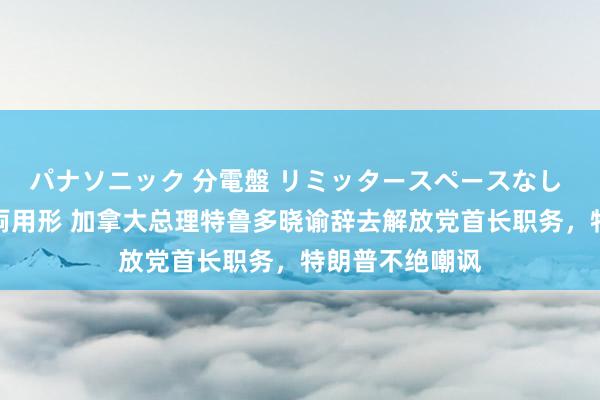 パナソニック 分電盤 リミッタースペースなし 露出・半埋込両用形 加拿大总理特鲁多晓谕辞去解放党首长职务，特朗普不绝嘲讽