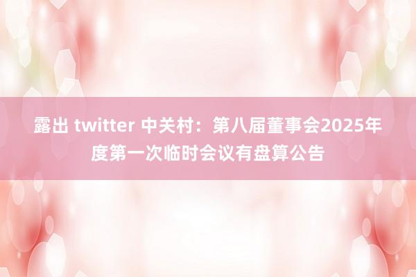 露出 twitter 中关村：第八届董事会2025年度第一次临时会议有盘算公告