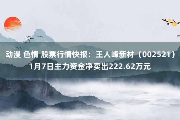 动漫 色情 股票行情快报：王人峰新材（002521）1月7日主力资金净卖出222.62万元