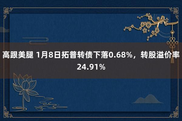 高跟美腿 1月8日拓普转债下落0.68%，转股溢价率24.91%