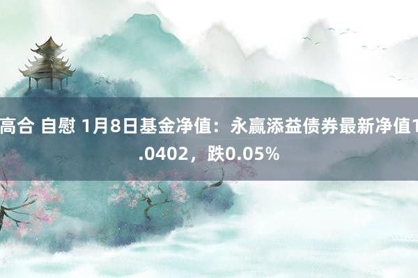 高合 自慰 1月8日基金净值：永赢添益债券最新净值1.0402，跌0.05%