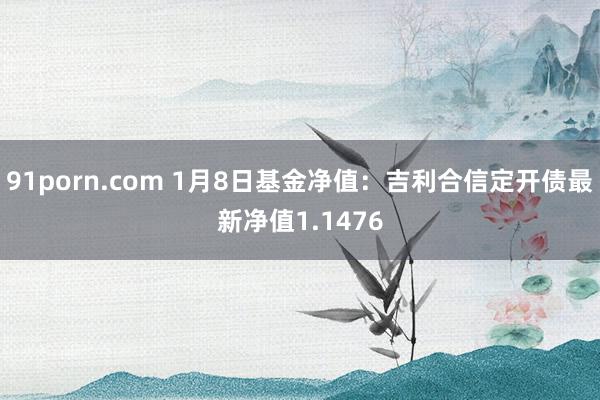 91porn.com 1月8日基金净值：吉利合信定开债最新净值1.1476