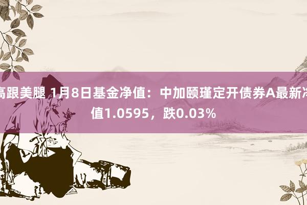 高跟美腿 1月8日基金净值：中加颐瑾定开债券A最新净值1.0595，跌0.03%