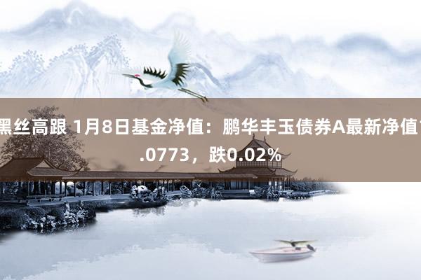 黑丝高跟 1月8日基金净值：鹏华丰玉债券A最新净值1.0773，跌0.02%