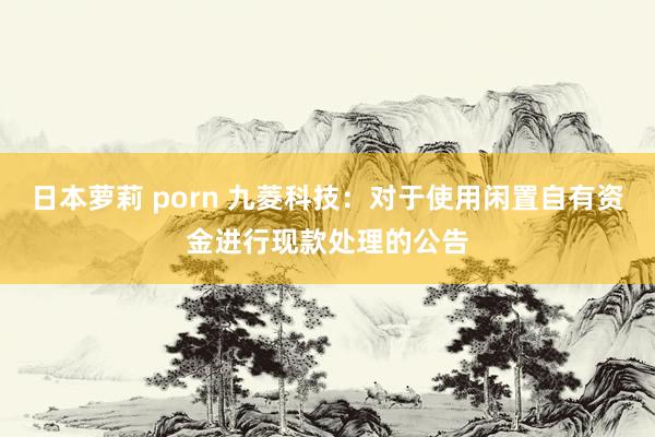 日本萝莉 porn 九菱科技：对于使用闲置自有资金进行现款处理的公告