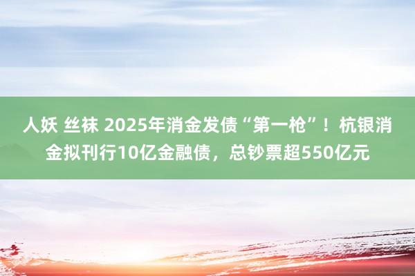 人妖 丝袜 2025年消金发债“第一枪”！杭银消金拟刊行10亿金融债，总钞票超550亿元