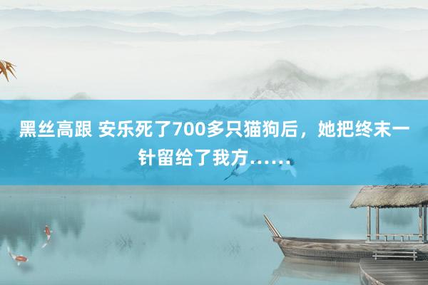 黑丝高跟 安乐死了700多只猫狗后，她把终末一针留给了我方……