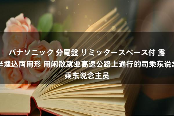 パナソニック 分電盤 リミッタースペース付 露出・半埋込両用形 用闲散就业高速公路上通行的司乘东说念主员