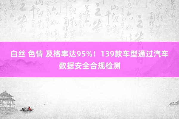 白丝 色情 及格率达95%！139款车型通过汽车数据安全合规检测