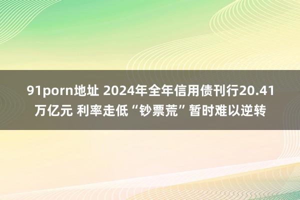 91porn地址 2024年全年信用债刊行20.41万亿元 利率走低“钞票荒”暂时难以逆转