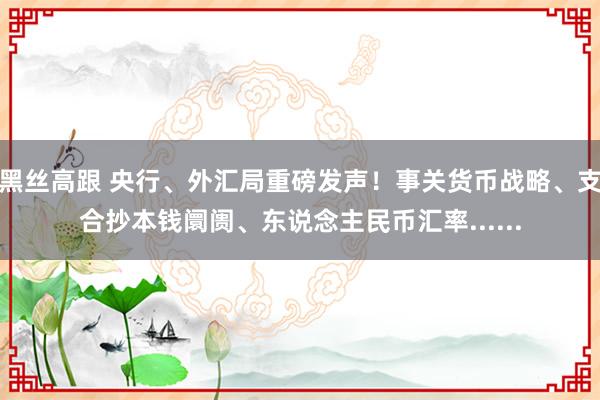 黑丝高跟 央行、外汇局重磅发声！事关货币战略、支合抄本钱阛阓、东说念主民币汇率......