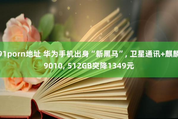 91porn地址 华为手机出身“新黑马”， 卫星通讯+麒麟9010， 512GB突降1349元