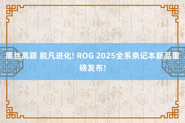 黑丝高跟 脱凡进化! ROG 2025全系条记本新品重磅发布!