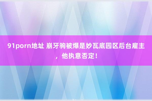 91porn地址 崩牙驹被爆是妙瓦底园区后台雇主，他执意否定！