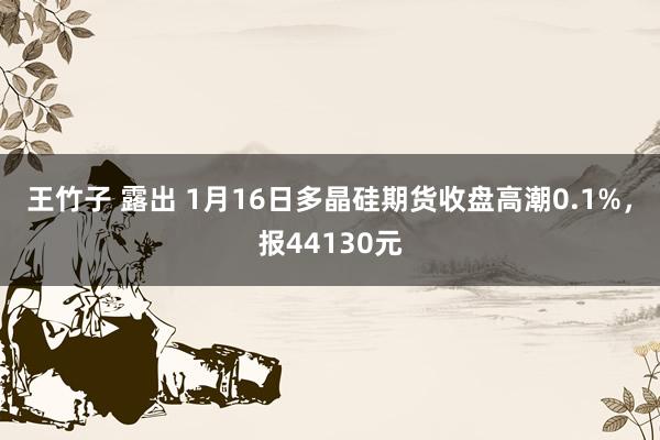 王竹子 露出 1月16日多晶硅期货收盘高潮0.1%，报44130元