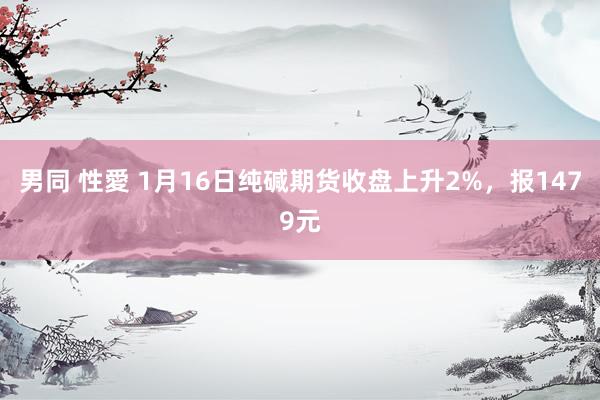 男同 性愛 1月16日纯碱期货收盘上升2%，报1479元