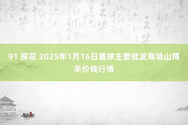 91 探花 2025年1月16日寰球主要批发商场山羯羊价钱行情