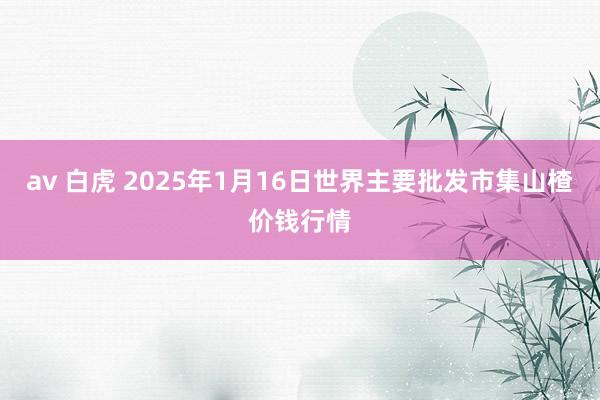 av 白虎 2025年1月16日世界主要批发市集山楂价钱行情