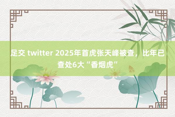 足交 twitter 2025年首虎张天峰被查，比年已查处6大“香烟虎”