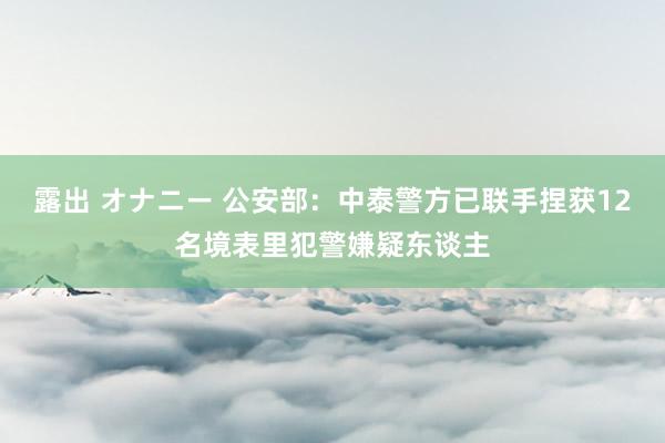 露出 オナニー 公安部：中泰警方已联手捏获12名境表里犯警嫌疑东谈主