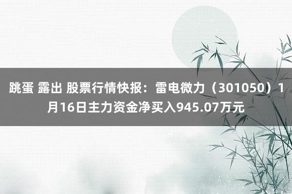 跳蛋 露出 股票行情快报：雷电微力（301050）1月16日主力资金净买入945.07万元