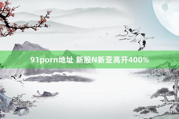 91porn地址 新股N新亚高开400%